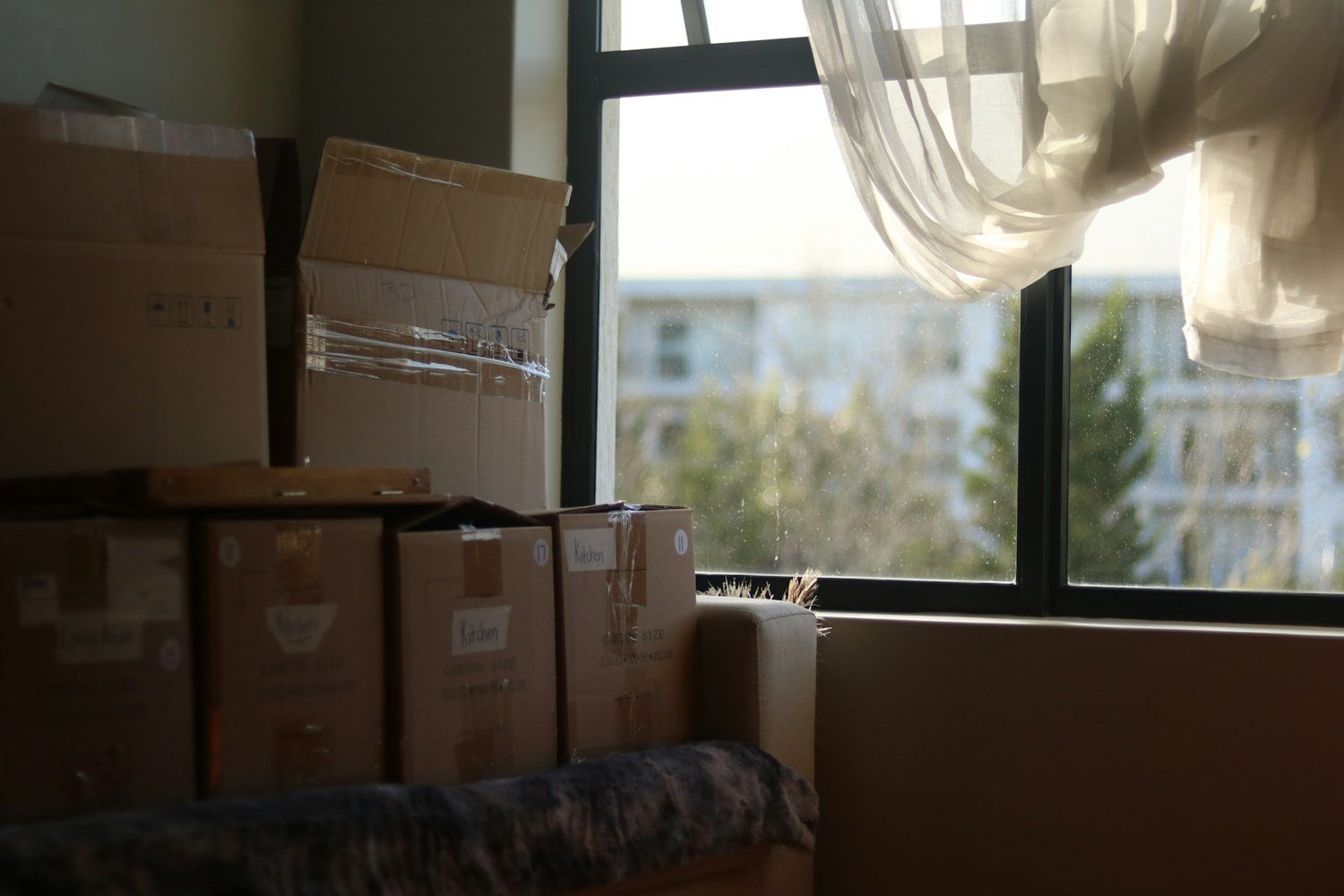 Moving boxes ready for the next chapter in a light-filled home